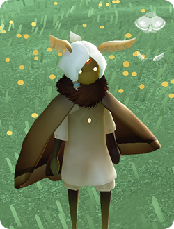 Moth Appreciation Pack